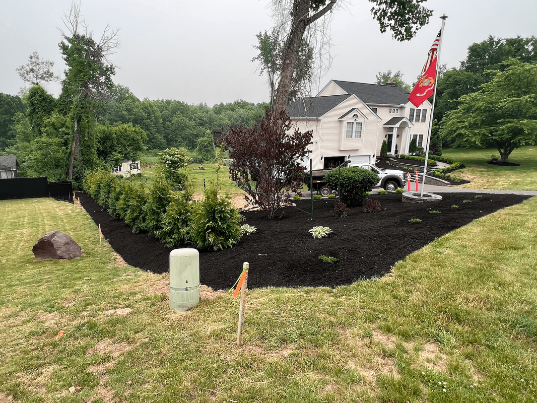 Mulch with a concrete ring with flags, and shrubs and plants
